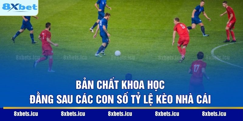 Tỷ Lệ Kèo Nhà Cái – Nghệ Thuật Phân Tích Và Quản Trị Rủi Ro Bản chất khoa học đằng sau các con số tỷ lệ kèo nhà cái