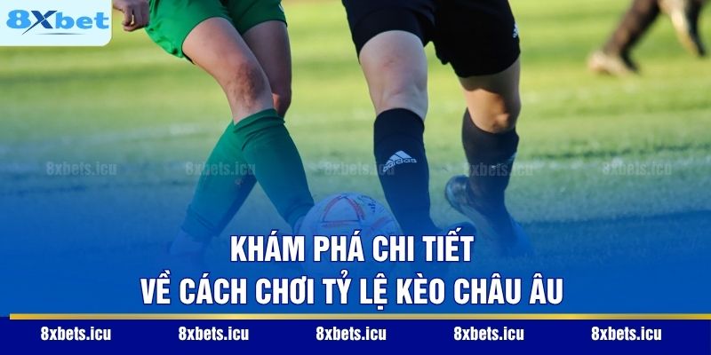 Tỷ Lệ Kèo Nhà Cái – Nghệ Thuật Phân Tích Và Quản Trị Rủi Ro Khám phá chi tiết về cách chơi tỷ lệ kèo Châu Âu
